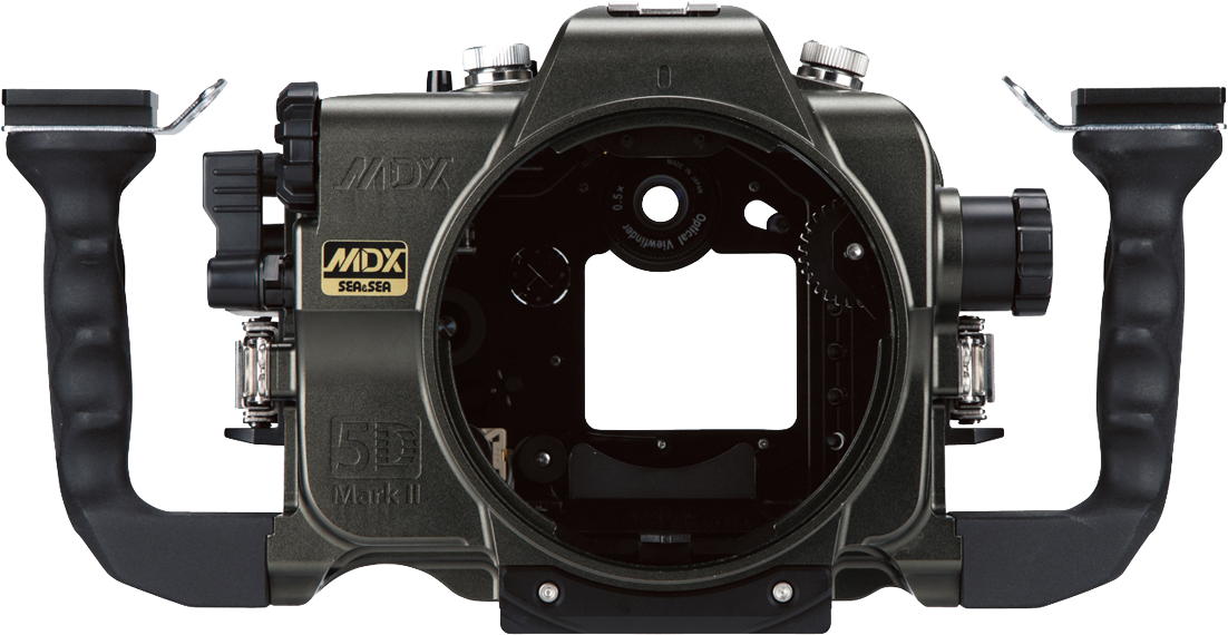 SEA&SEA MDX-5D ver.2 MarkⅢ Canon EOS 5D Mark 3 水中撮影 